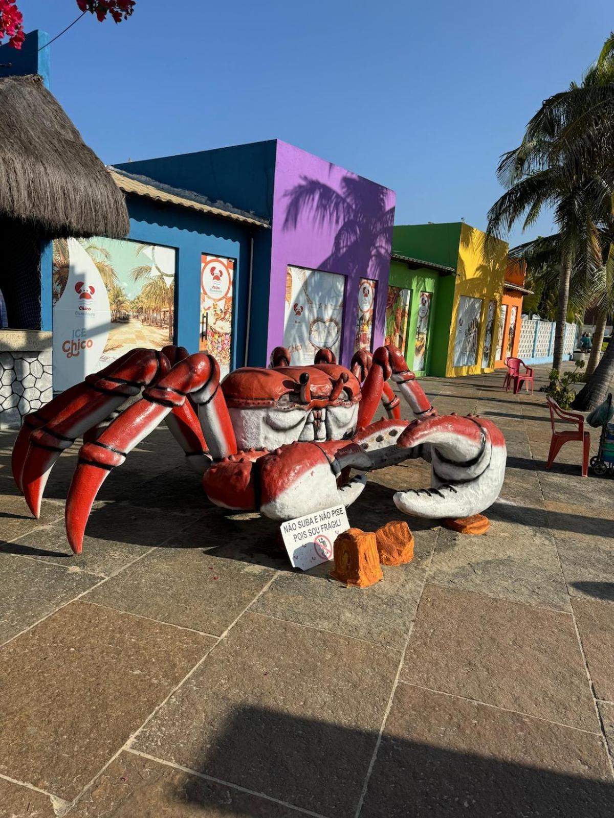 Apartamento Beach Place Cumbuco 100M Da Praia Caucaia Exterior foto